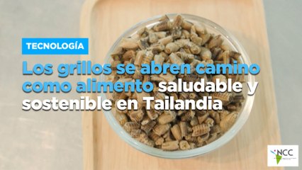 Los grillos se abren camino como alimento saludable y sostenible en Tailandia