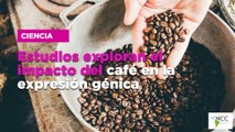 Estudios exploran el impacto del café en la expresión génica