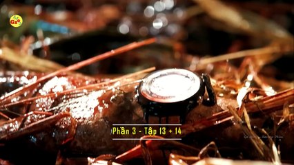 Chít Vì Hát Dở Mà Hát Nhiều _ review phim Bones (Phần 3) - Tập 13 + 14