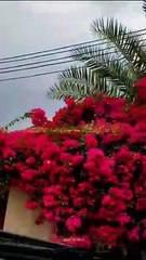 VID-20240930-WA0040