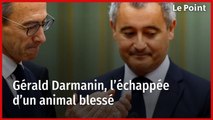 Gérald Darmanin, l’échappée d’un animal blessé