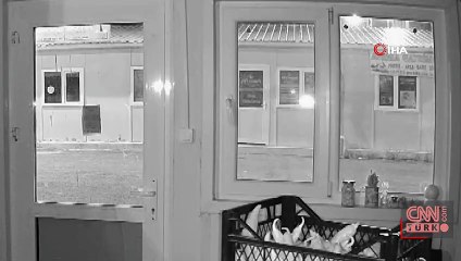 İlginç kaza! İşyerinin içinden geçti... | VİDEO