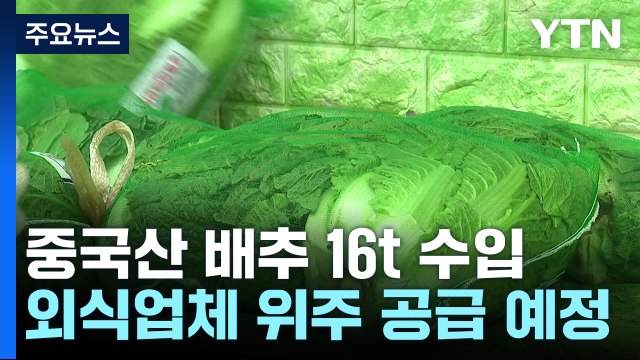 중국산 배추 초도물량 16톤 공개...다음 달까지 1,100톤 수입 / YTN