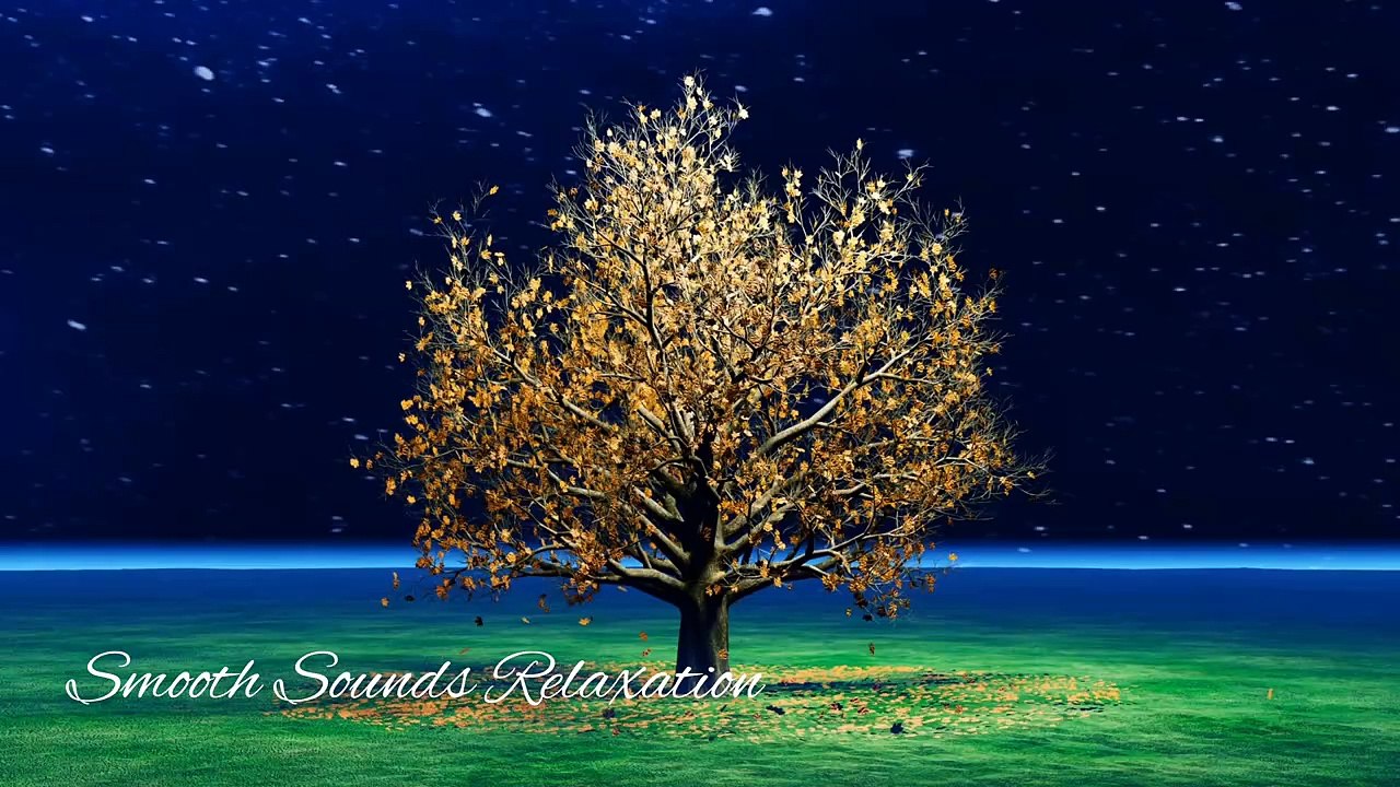 247 Zen Music Relaxation, Healing, Meditation, Sleep, Spa & Soothing Nature Sounds