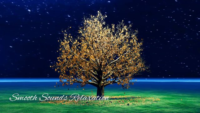 247 Zen Music Relaxation, Healing, Meditation, Sleep, Spa & Soothing Nature Sounds