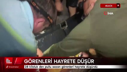Bilecik'te 28 kiloluk dev pullu sazan görenleri hayrete düşürdü