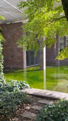 MAGNIFIQUES JARDINS de la Fondation Beyeler à Bâle