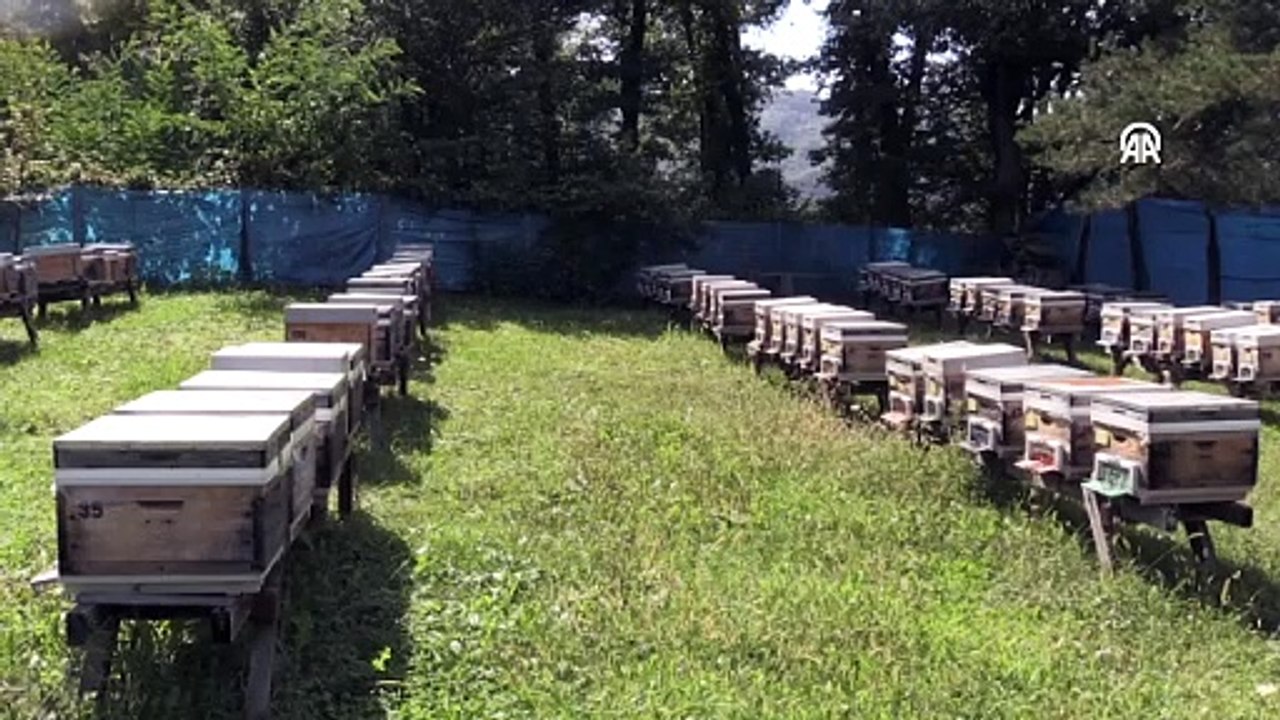 Sinop Kestane Balında "Etiket ve Analiz" Uyarısı