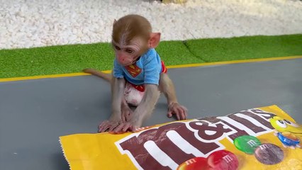 Monkey Baby goes to BUY giant m&m Candy And Eats Ice Cream With Puppy In The Garden