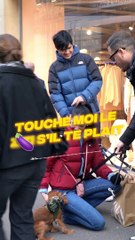 J’ai Pranké les gens avec mon chien !