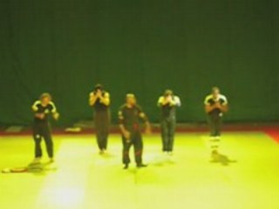 Power Inch Punch Sifu Claude GOUIFFE