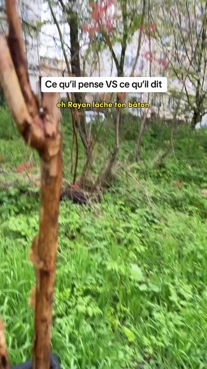 Les garçons et les batons ...  Abonnez-vous les amis le meilleur reste à venir