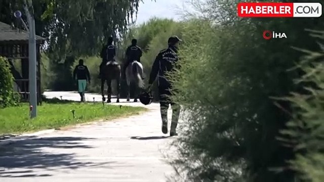 Kayıp Üniversite Öğrencisi Rojin Kabaiş İçin Arama Çalışmaları Devam Ediyor