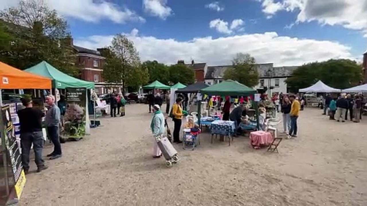 People enjoying the various stalls at the Big Green Fair in Crediton Town Square (Will Goddard, Crediton Courier)