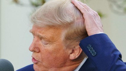 Donald Trump praises himself for his gorgeous hair: 'What a nice-looking man' (1)