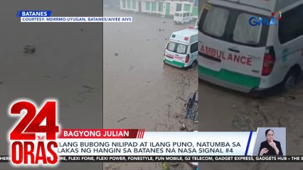 Ilang bubong nilipad at ilang puno, natumba sa lakas ng hangin sa Batanes na nasa Signal #4 | 24 Oras