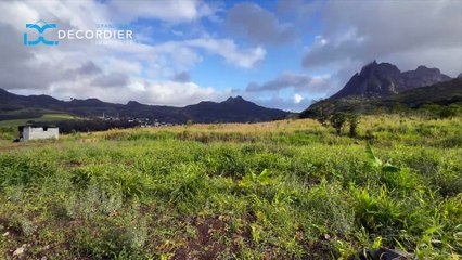 DECORDIER immobilier Mauritius MA7-1381 - Terrain Résidentiel à vendre - Crève Cœur