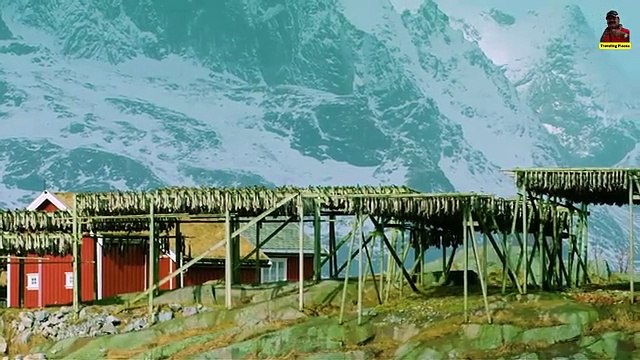 Norway's Lofoten Islands