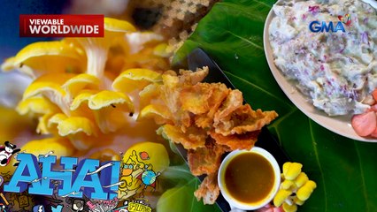 Makukulay na mushrooms, ating tikman! | AHA!