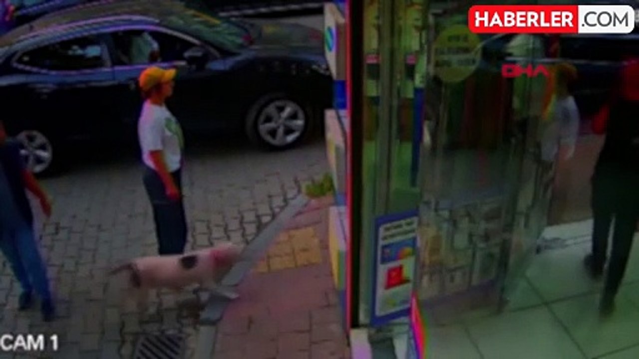 İstanbul'da Silahlı Saldırı: Eski Sevgili Yeni Sevgiliyi Hedef Aldı