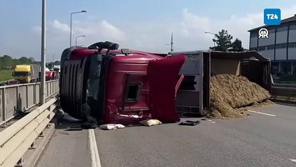 Samsun'da arı sokan tır şoförü kaza yaptı