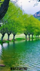 Top Viral Islamic Short Videos 🎥 | Best Islamic Shorts Compilation