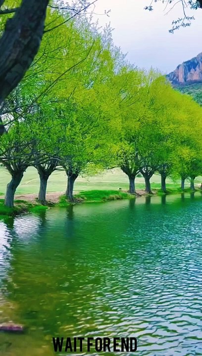 Islamic best video shorts, viral videos, viral shorts