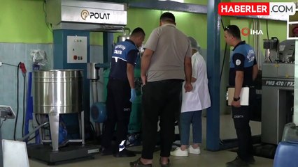 Zeytin Hasadı Öncesi Hatay'da Fabrikalara Sıkı Denetim