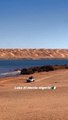 مشاهد رائعة ل بحيرة المنيعة بقلب الصحراء #الجزائر   Lake el mania Algérie algeria