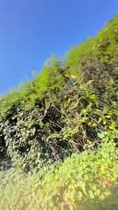 Vous avez plein d’autres recettes super chouette comme ça dans mon livre 