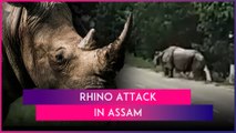 Biker Chased, Mauled To Death By Rhino Near Pobitora Wildlife Sanctuary In Assam