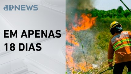 Incêndios queimaram 10 mil hectares do Distrito Federal