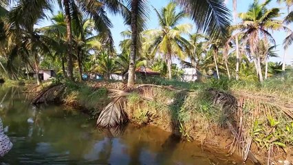 Kerala boating trip 2023