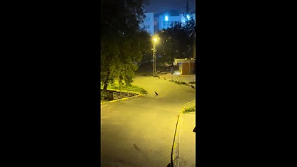 Köpek terörü Çaycuma'yı esir aldı: "Gece gündüz saldırıyorlar!"