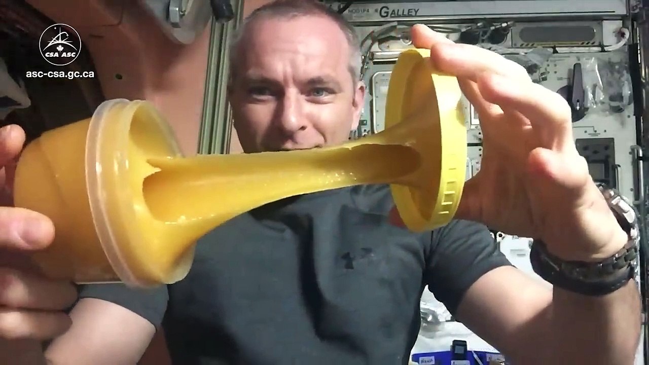 Honey in space_HD