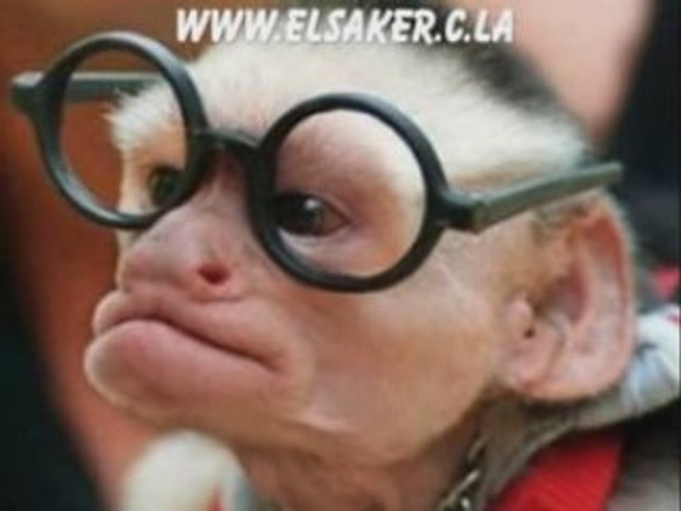 alresala fokaha bladi 02 dahka