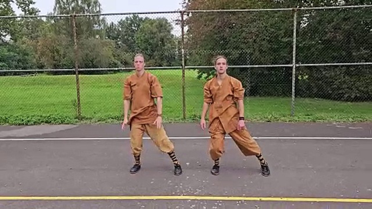 Duilian: Shaolin Wu Xing Quan - He Yong Gan Martial Arts