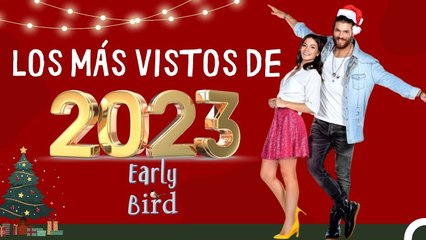 Escenas Más Vistas De 2023 - Pájaro Soñador