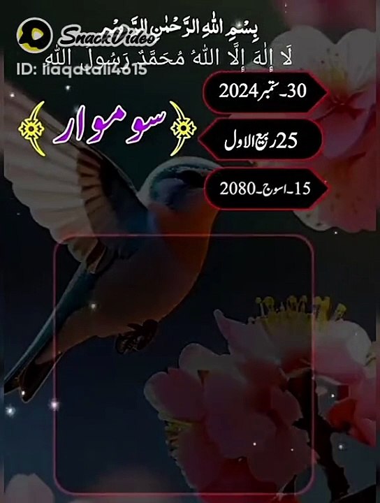 VID-20240930-WA0004
