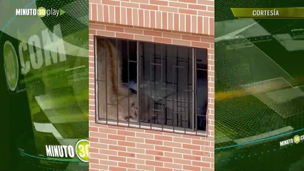 Nuevo caso de maltrato animal en Medellín denuncian que joven le pega a cachorritos en Belén