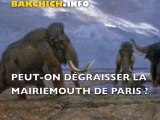 Quelques recettes pour dégraisser le mammouth