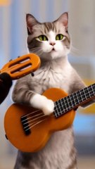Kucing Rhoma Irama Gitar Tua