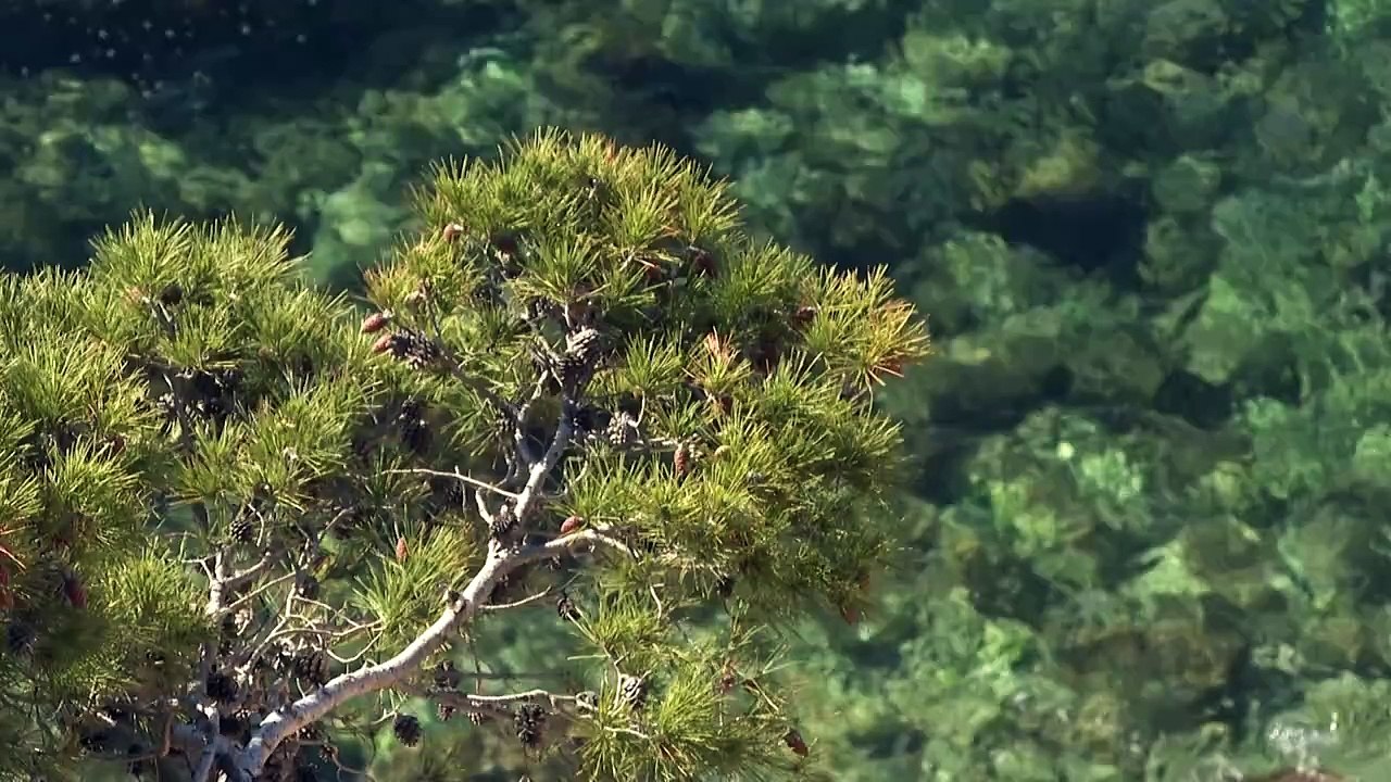 Taxa de aquecimento da superfície dos oceanos quase duplicou desde 2005