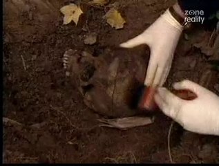 Beyond Bizarre -- Forensic Anthropology