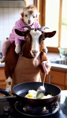 Cute and Funny Hybrid Animals | Adorable Animal Mixes