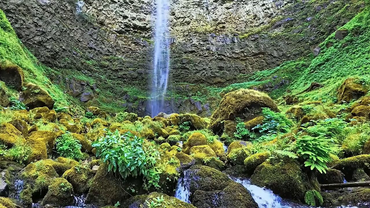  724 Angel Number Twin Flame: What Does It Mean? (Numerology Explained) 