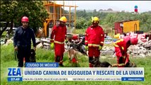 La UNAM entrena a 28 perros para actuar en casos de emergencia