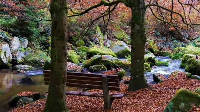 437 Angel Number Meaning: Unlocking Spiritual Secrets and Life Purpose