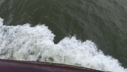 Environment Agency investigating River Mersey oil spill