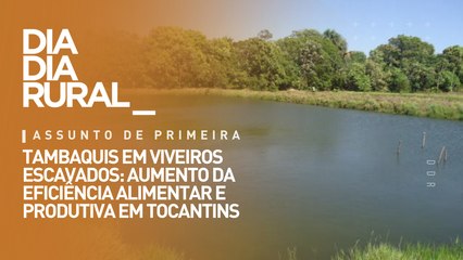 Tambaquis em viveiros escavados: aumento da eficiência alimentar e produtiva em Tocantins